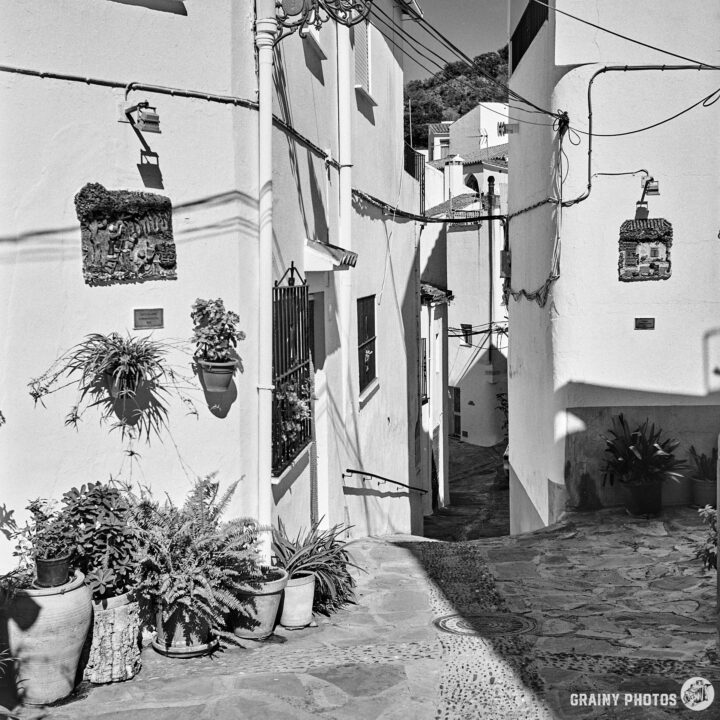 A narrow, winding alleyway in Genalguacil, flanked by whitewashed buildings adorned with potted plants. The scene is captured in black and white, emphasizing the textures of the walls and cobblestone pathway.