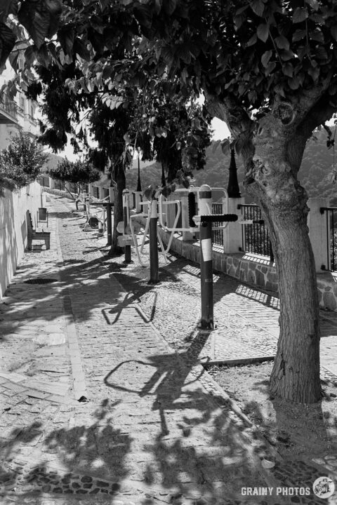 A black-and-white photo of a cobbled path with some exercise machines on the right in the shade of some trees.
