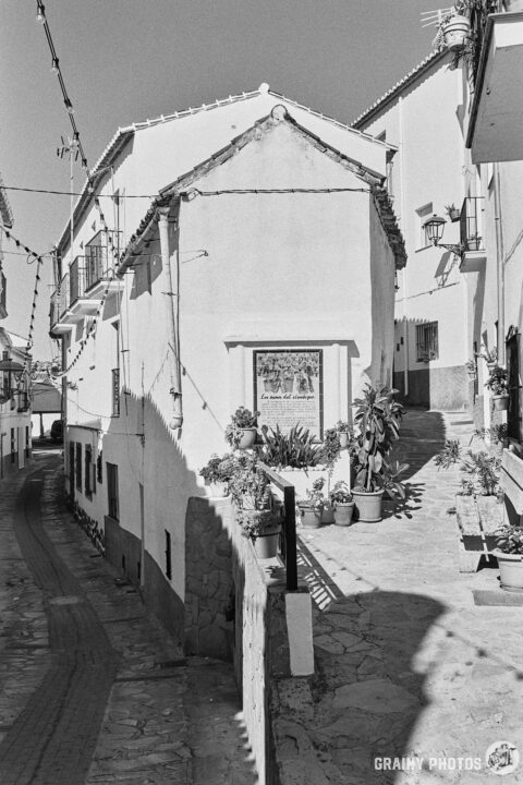 A black-and-white photo of a pretty narrow cobbled street in Jubrique. The street forks with the left fork going downhill and the right fork going uphill. A cluster of potted plants stands at the fork.