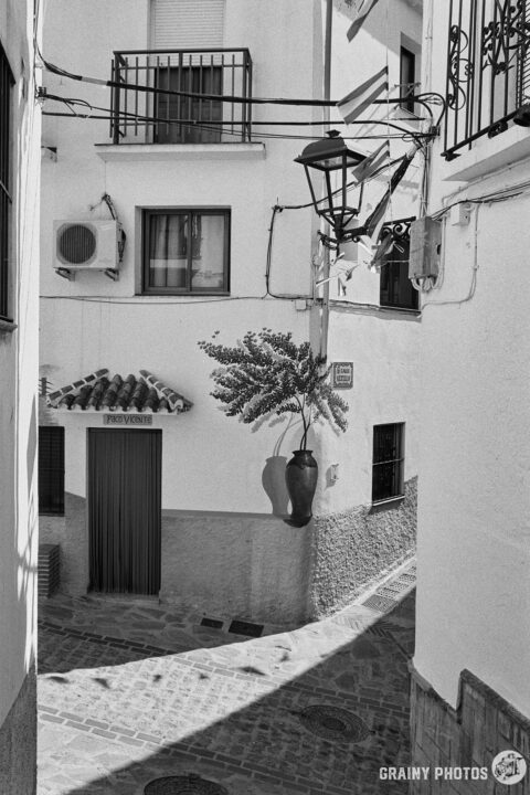 A black-and-white photo of a narrow street junction. The house on the corner has a mural of a potted plant (and its shadow) painted on its wall. Amazingly realistic.