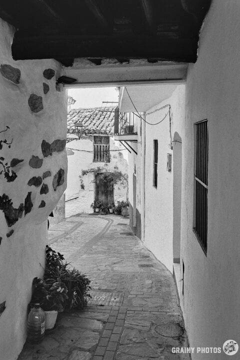 A black-and-white photo - Standing under a tinao looking along a narrow alley leading to a small courtyard.