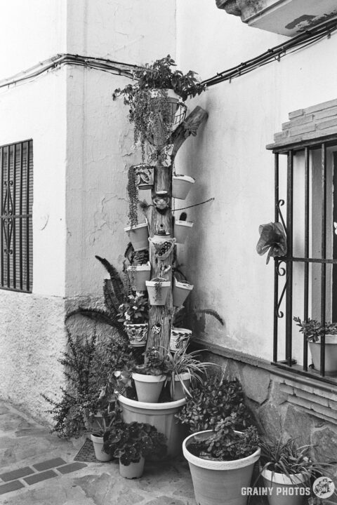 A black-and-white photo of a cut tree trunk adorned with multiple potted plants, standing in a nook on a street.