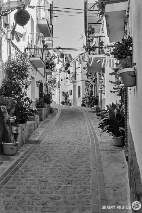 A black-and-white photo of a pretty narrow cobbled street in Jubrique. Numerous potted plants are crammed onto the narrow pavements outside the houses.