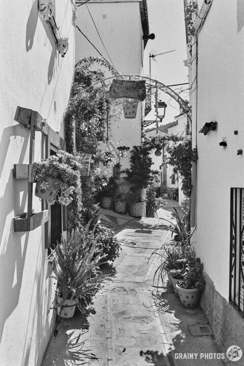 A black-and-white photo of a pretty narrow cobbled alley in Jubrique. The alley is crammed with potted plants