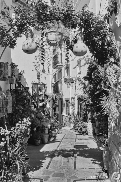 A black-and-white photo of another amazing alley in this lovely little town. Pretty paving, an arch and crammed full of potted plants.