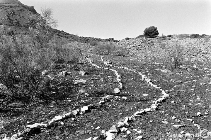 A winding path of stones leads through a barren landscape dotted with sparse vegetation, framed by a rocky terrain and a distant hill, captured in black and white.