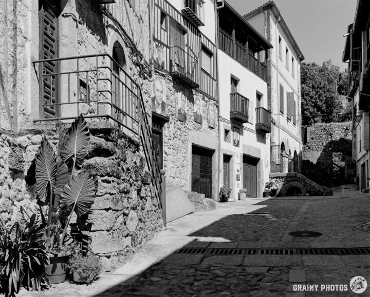 A quiet cobblestone street, featuring stone buildings with balconies. Lush green plants contrast with the architectural elements, creating a serene atmosphere under bright sunlight.
