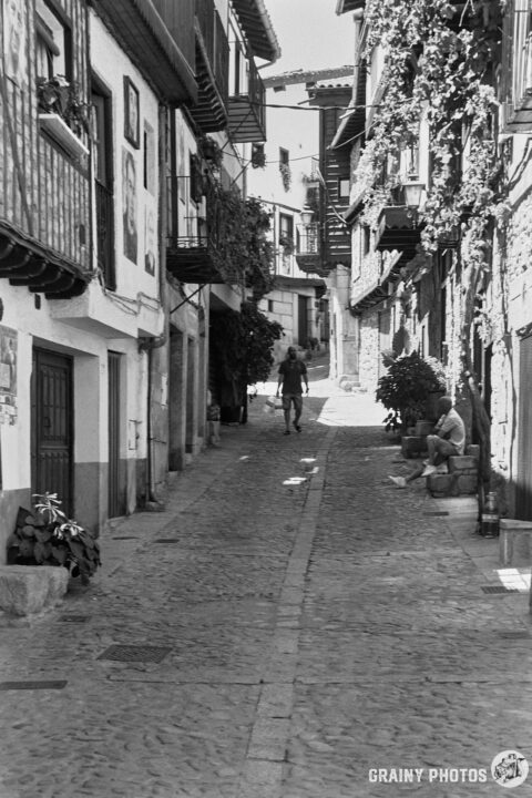 A narrow cobblestone street with traditional buildings lined with greenery. A person walks down the street while another sits nearby, enjoying the quaint atmosphere of the historic village.
