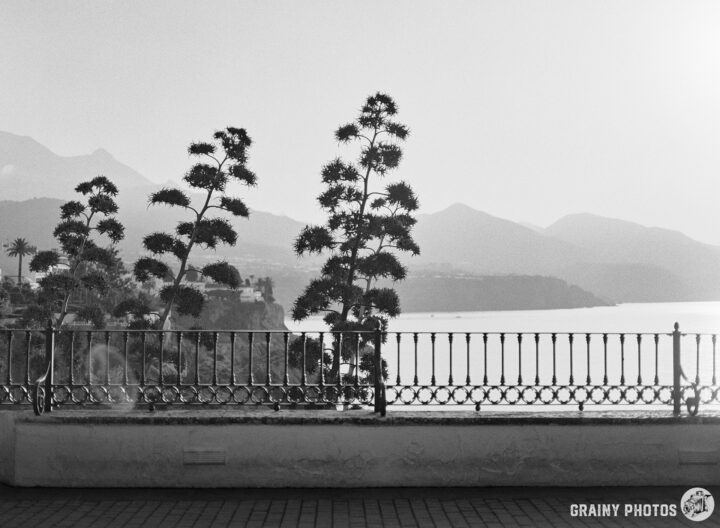 A serene black-and-white landscape featuring tall plants behind a railing, overlooking a tranquil body of water with distant mountains in the background. The scene captures a peaceful, scenic view under soft light.