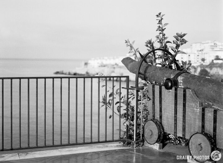 A black and white image featuring a historic cannon mounted on a wheeled cart, next to a wrought iron railing with greenery, overlooking a serene sea and distant shoreline.