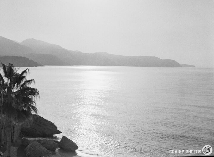 A serene misty coastal scene in black and white, featuring gentle waves lapping at the shore, distant mountains, and palm trees silhouetted against the soft, reflective light of the water.