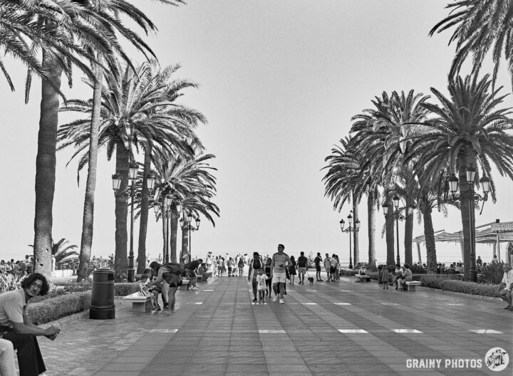 A bustling Plaza Balcon De Europa lined with tall palm trees, where people stroll and sit on benches, enjoying the day. The scene features a family walking hand-in-hand, with a backdrop of a bright sky. The image is in black and white, enhancing the lively atmosphere.