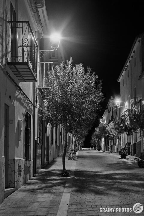 A quiet, narrow street at night, illuminated by street lamps, with a single tree growing beside a building. The scene is presented in black and white, showcasing the tranquility and charm of the empty urban landscape.