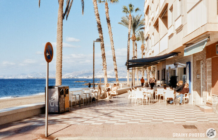 A sunny beachside promenade lined with palm trees, featuring a café with outdoor seating. People relax at tables while enjoying the ocean view, creating a vibrant, leisurely atmosphere.