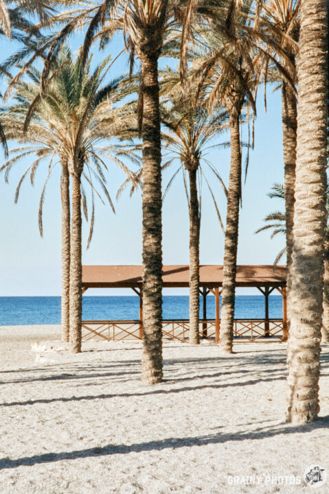 A serene beach scene featuring tall palm trees framing a wooden gazebo. The sandy shore leads to a calm blue sea, under a clear sky, creating a tranquil and inviting atmosphere.