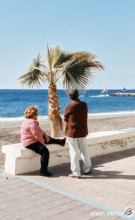 A couple enjoys a sunny day at a beach, sitting near a palm tree. The serene ocean and distant sailboats create a peaceful coastal scene.