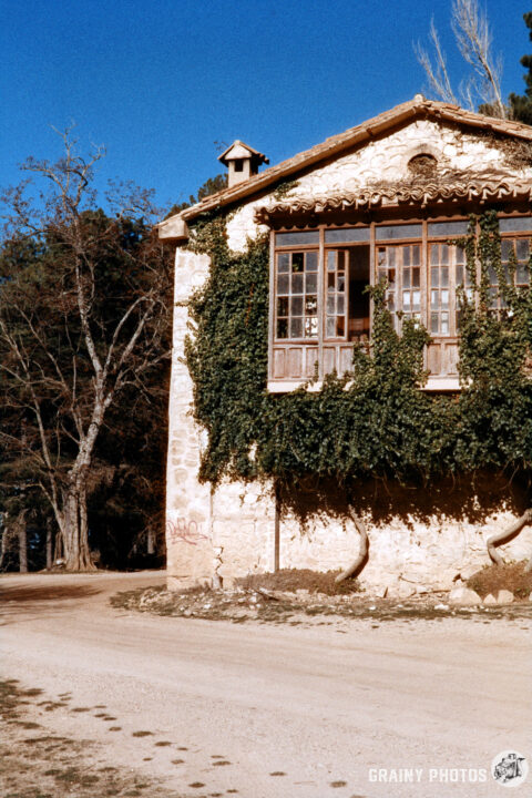 A rustic abandoned forest ranger's house with a large window, partially covered in green vines, stands beside a dirt road. Surrounding trees enhance the natural setting under a clear blue sky.