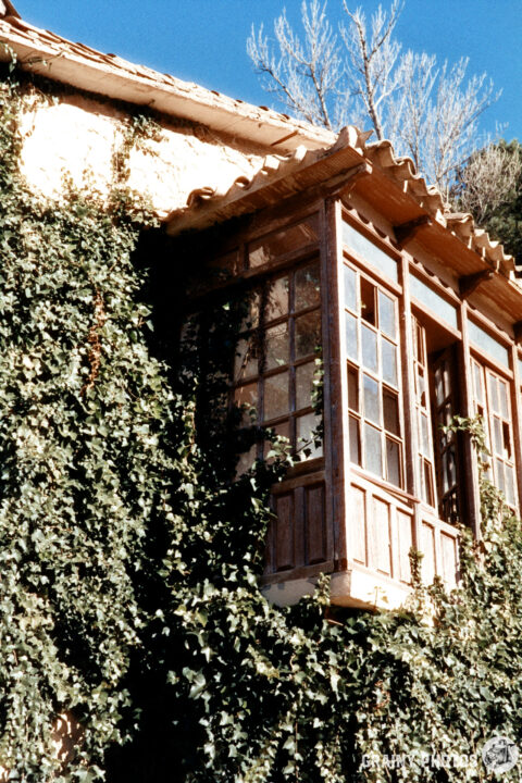 A wooden window with multiple panes is partially covered by lush green ivy, set against a clear blue sky. The rustic architecture features a tiled roof and warm earthy tones, blending harmoniously with nature.