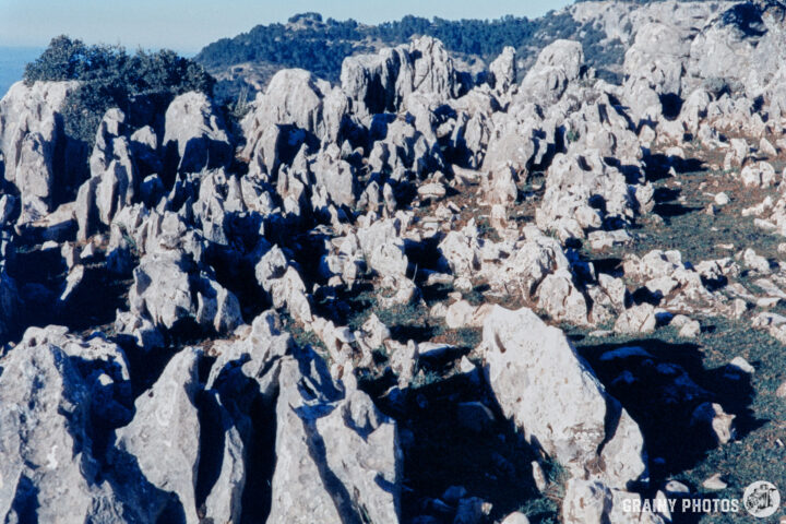 A rugged landscape featuring a field of large, jagged rocks and boulders under a clear sky, with a backdrop of hills and trees in the distance, capturing the natural beauty and texture of the rocky terrain.