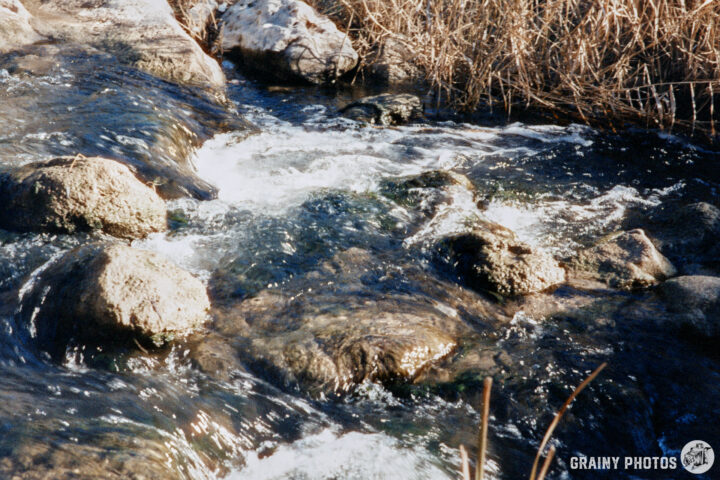 A serene stream flows over smooth rocks, surrounded by dry grasses. The water sparkles as it cascades gently, creating a calm and natural atmosphere.