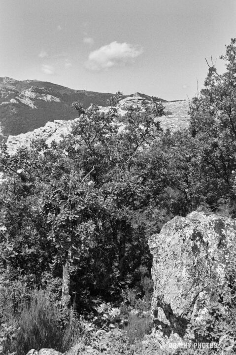 A monochrome landscape featuring rocky terrain and dense foliage with trees in the foreground, set against a mountainous backdrop under a partially cloudy sky.
