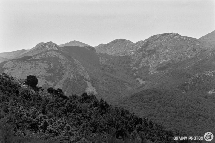 A black and white landscape showcasing rolling mountains under a clear sky, surrounded by lush greenery at the base, creating a serene and tranquil atmosphere.
