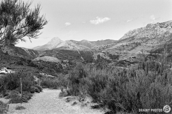 A panoramic black and white view of a hilly landscape with rugged mountains in the background, surrounded by lush greenery and a winding dirt path leading through the terrain.