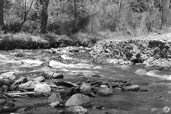 A black and white image of a stream, flowing over smooth and rough rocks, surrounded by trees and tall grass on the banks, creating a serene natural landscape.