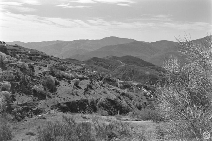 A black-and-white landscape featuring rolling hills and mountains under a cloudy sky. Vegetation is sparse, with patches of trees and shrubs scattered across the terrain, creating a tranquil, natural setting.