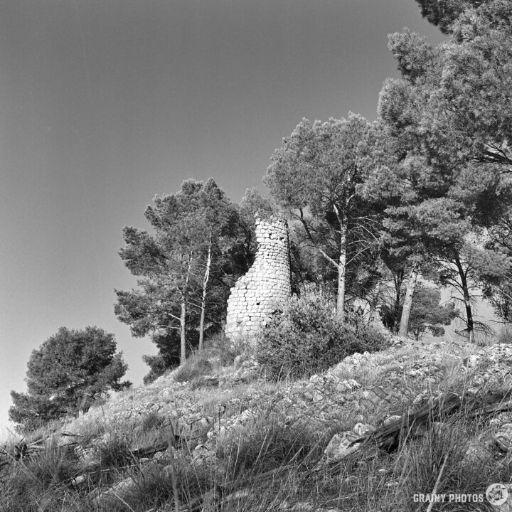 A black and white image of a rocky hillside with sparse vegetation, featuring the ruins of Torre de La Harina surrounded by tall pine trees. The scene conveys a serene, natural environment with a historical element.