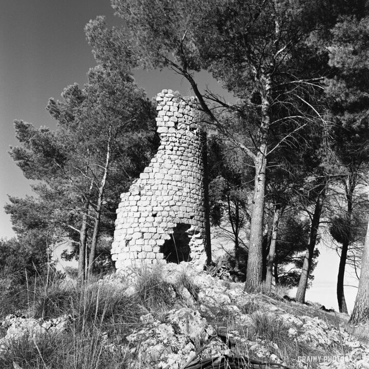 The solitary stone Torre de La Harina stands among tall pine trees, surrounded by rocky terrain. The image captures the texture of the stones and the contrast of light and shadow in a black and white setting, evoking a sense of solitude and nature's beauty.