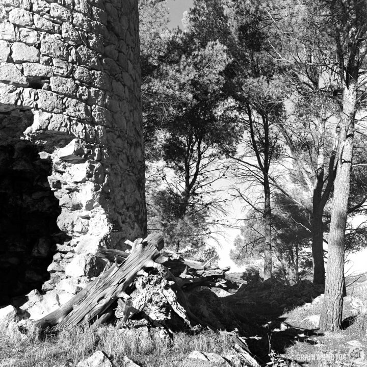 A black and white image of a weathered stone tower amidst a wooded area, featuring tall trees and scattered logs on the ground, highlighting the passage of time and nature's embrace of man-made structures.