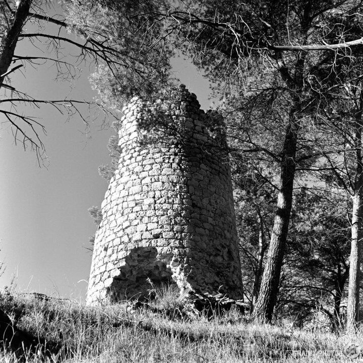 A vintage black-and-white image of the weathered ruins of Torre de La Harina standing amidst tall trees, with sunlight filtering through the branches, highlighting the rugged texture of the tower and surrounding foliage.