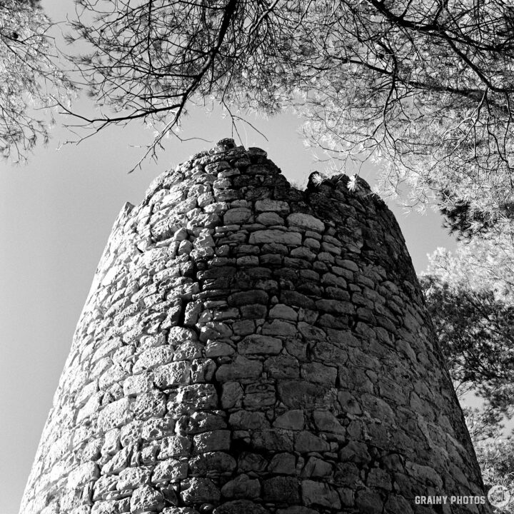 A close-up of the top of the tower surrounded by trees, captured in black and white. The structure showcases a rough texture and historical architecture, with branches framing the top against the sky.