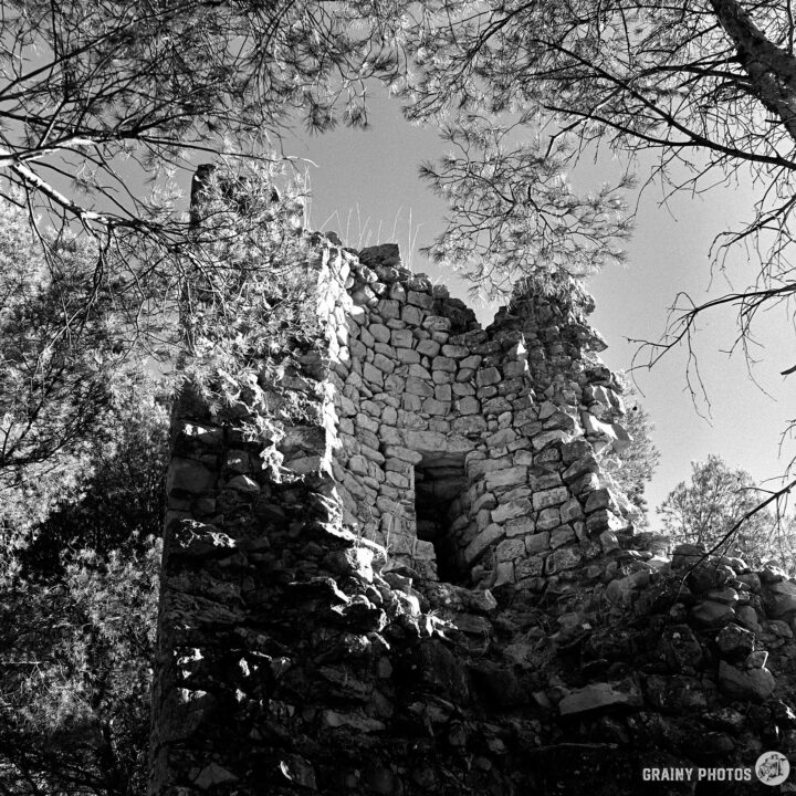 A partially ruined stone structure rises amidst tall trees, capturing a sense of history and nature's reclaiming. The image is in black and white, emphasizing the texture of the stones and the interplay of light and shadow.