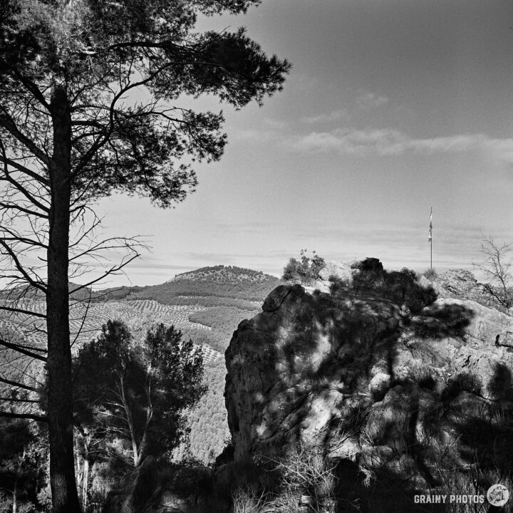 A serene landscape in black and white featuring a rocky outcrop, tall trees, and rolling hills under a cloudy sky, conveying a peaceful natural setting.