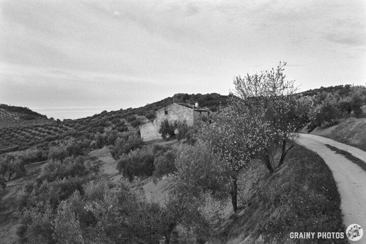 A serene black and white landscape featuring a winding dirt road leading to a an abandoned rustic house surrounded by rolling hills and olive trees under a cloudy sky.