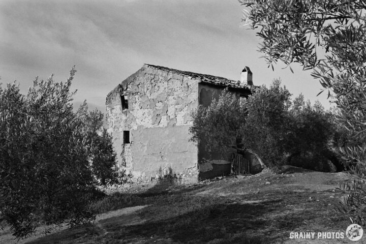A weathered, abandoned, rustic house surrounded by olive trees, set against a softly lit sky. The scene captures a tranquil, natural landscape with a hint of historical charm.