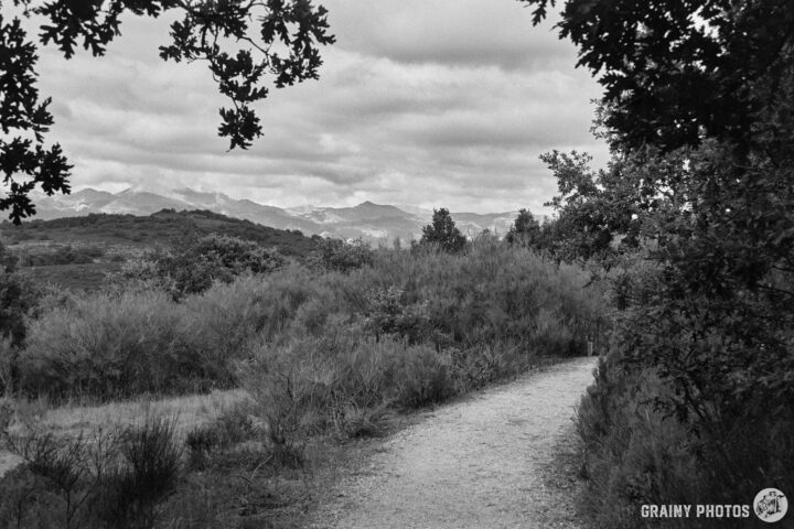 A scenic landscape featuring a gravel path winding through lush greenery, framed by trees, under a dramatic sky filled with clouds. In the distance, mountains create an enchanting backdrop, evoking a sense of tranquility and nature.