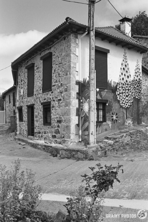 A stone house with closed shutters features a mural of flowers and shapes on its wall. The scene is set on a quiet street surrounded by natural greenery, captured in black and white for a timeless feel.