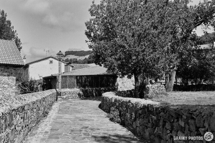 A narrow stone paved road bordered by rustic buildings and a large tree, under a partly cloudy sky. The scene evokes a timeless, peaceful ambiance of rural life.