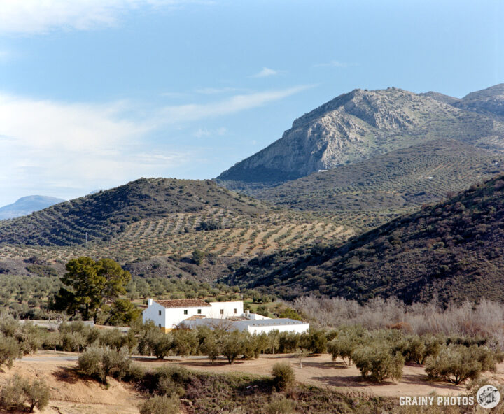 A serene landscape featuring a white farmhouse surrounded by olive trees, with rolling hills and mountains in the background under a clear sky. The scene conveys tranquility and rural charm, typical of Mediterranean countryside.