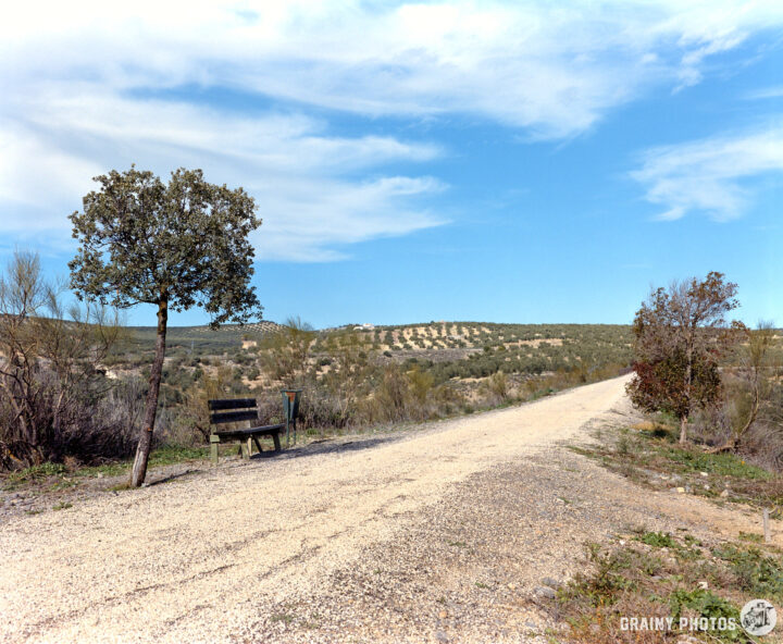 A peaceful Via Verde lined with greenery, featuring a single tree and a wooden bench. The road leads into a landscape of rolling hills under a blue sky with scattered clouds, offering a serene outdoor space for relaxation and contemplation.