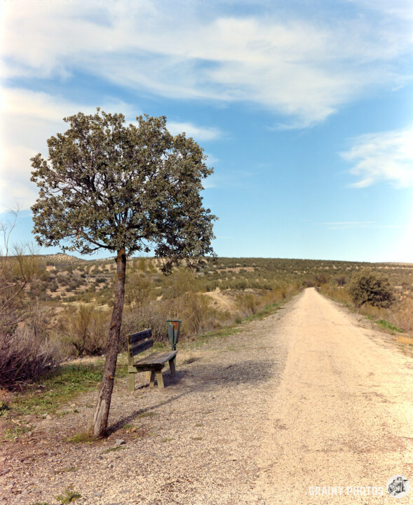A tranquil Via Verde flanked by greenery, featuring a solitary wooden bench under a small tree, set against a clear blue sky with scattered clouds. A serene landscape inviting peaceful contemplation.
