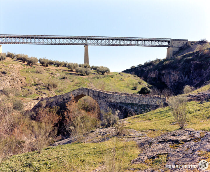 A picturesque landscape featuring a stone arch bridge crossing a grassy valley, complemented by a modern railway bridge above, surrounded by shrubs and olive trees under a clear blue sky.