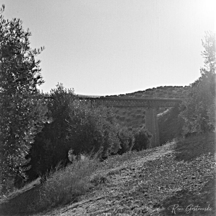 A black and white photograph depicting a scenic landscape with a bridge crossing over the horizon, surrounded by trees and hills with olive groves under a bright sky. The image captures a tranquil, natural setting evocative of rural charm.