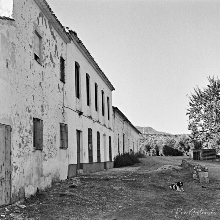 A black and white image of an old, weathered farmhouse building with multiple windows and a surrounding landscape. In the foreground, a dog is lying on the ground, while trees and distant hills are visible in the background.