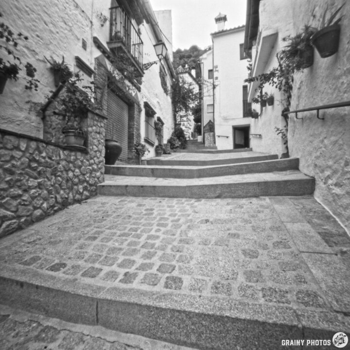 A narrow, cobblestone street ascends between whitewashed buildings adorned with plants, leading up to a bright section in the background. The scene is captured in black and white, emphasizing the textures of the stones and the architectural details.