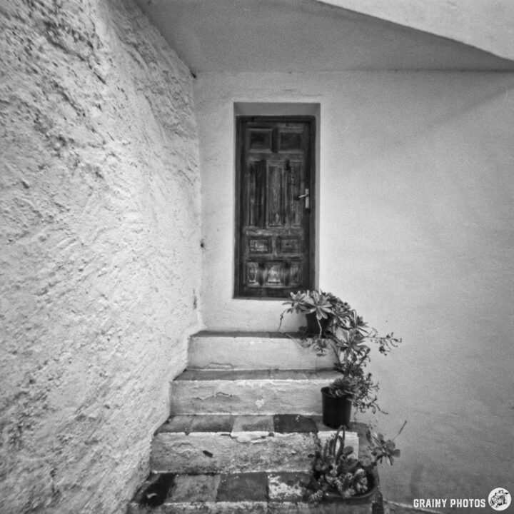 A narrow staircase leads to a wooden door, framed by white walls. Small potted plants sit on the steps, adding a touch of greenery to the monochrome scene.