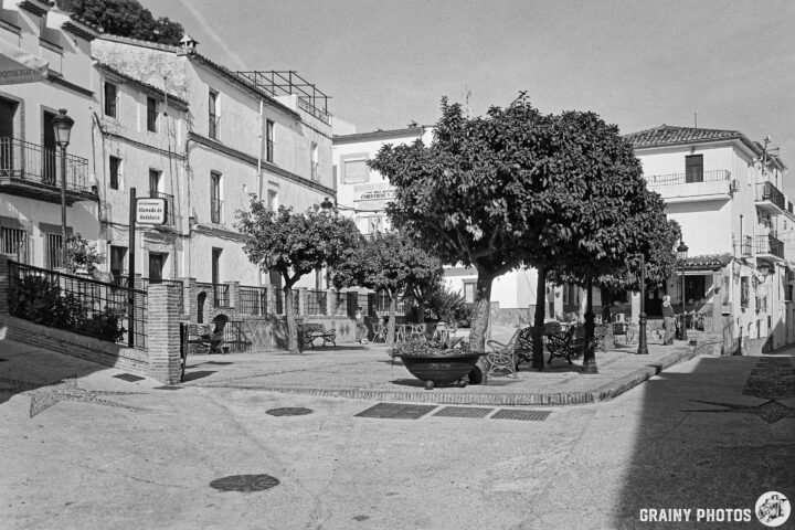 The town square in Algatocín featuring a large tree, benches, and charming buildings in a black-and-white setting. The cobblestone path leads to a welcoming atmosphere, perfect for relaxation and leisurely strolls.